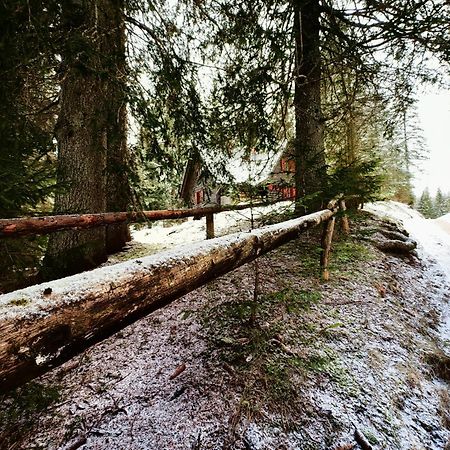 Chalet Stara Jelka Pokljuka Згорнє Горє Екстер'єр фото