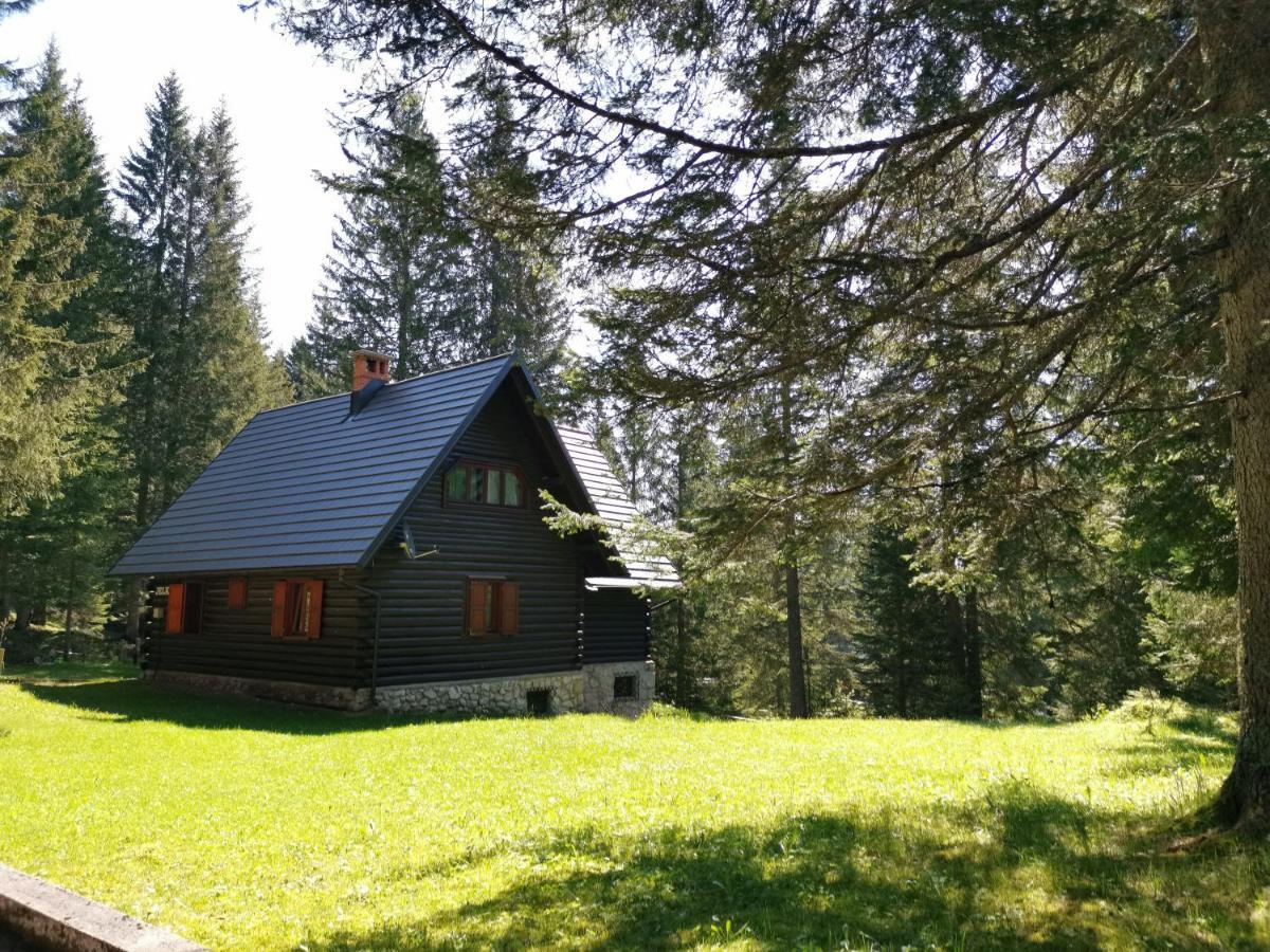 Chalet Stara Jelka Pokljuka Згорнє Горє Екстер'єр фото