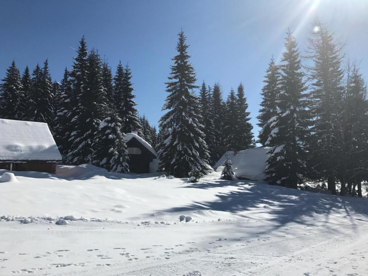 Chalet Stara Jelka Pokljuka Згорнє Горє Екстер'єр фото
