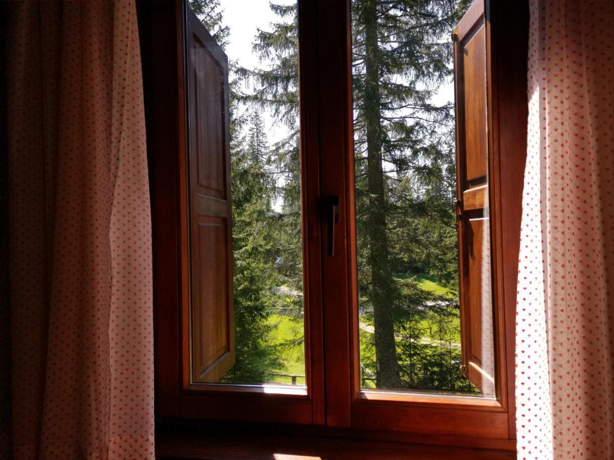 Chalet Stara Jelka Pokljuka Згорнє Горє Екстер'єр фото