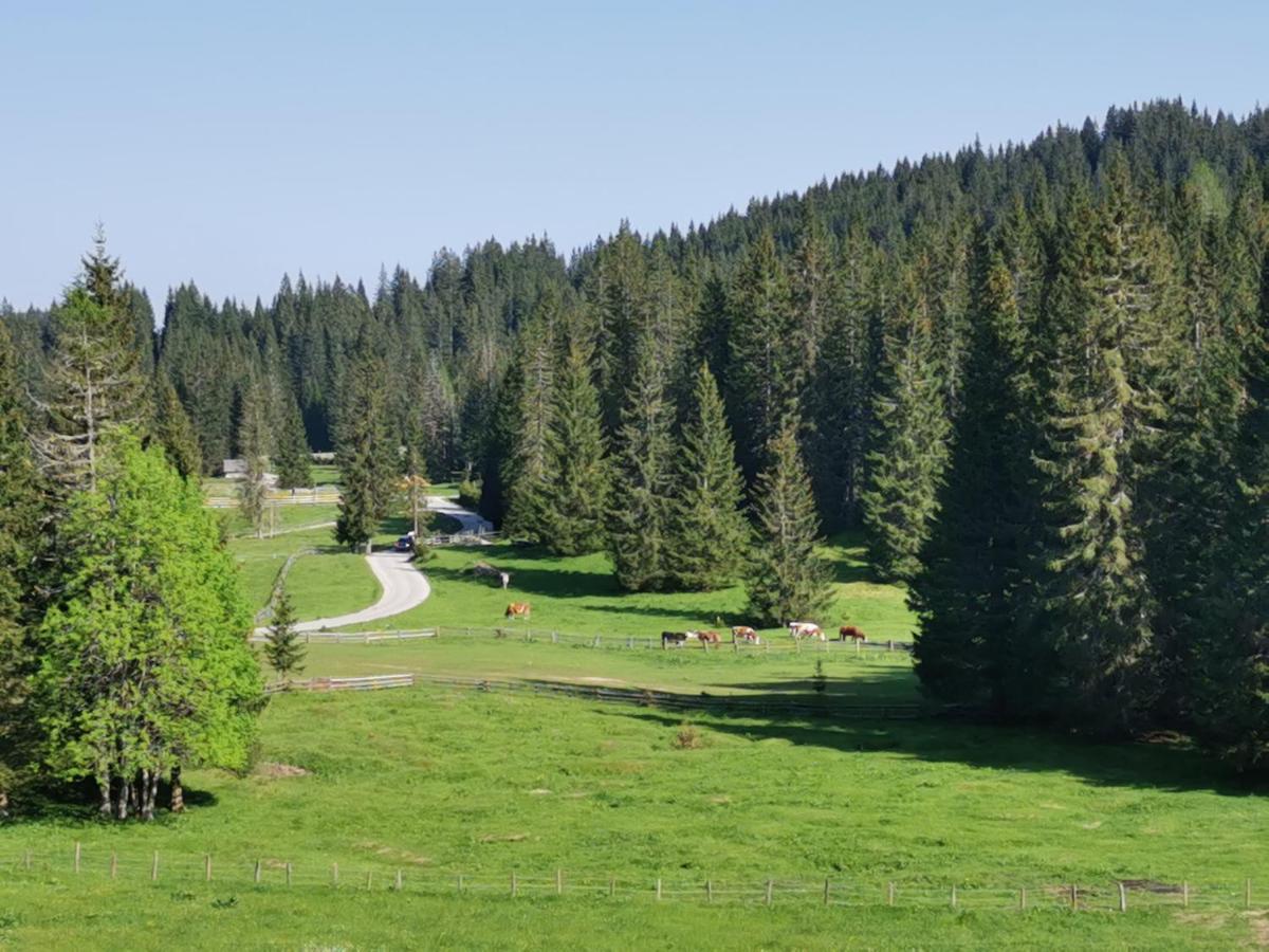 Chalet Stara Jelka Pokljuka Згорнє Горє Екстер'єр фото