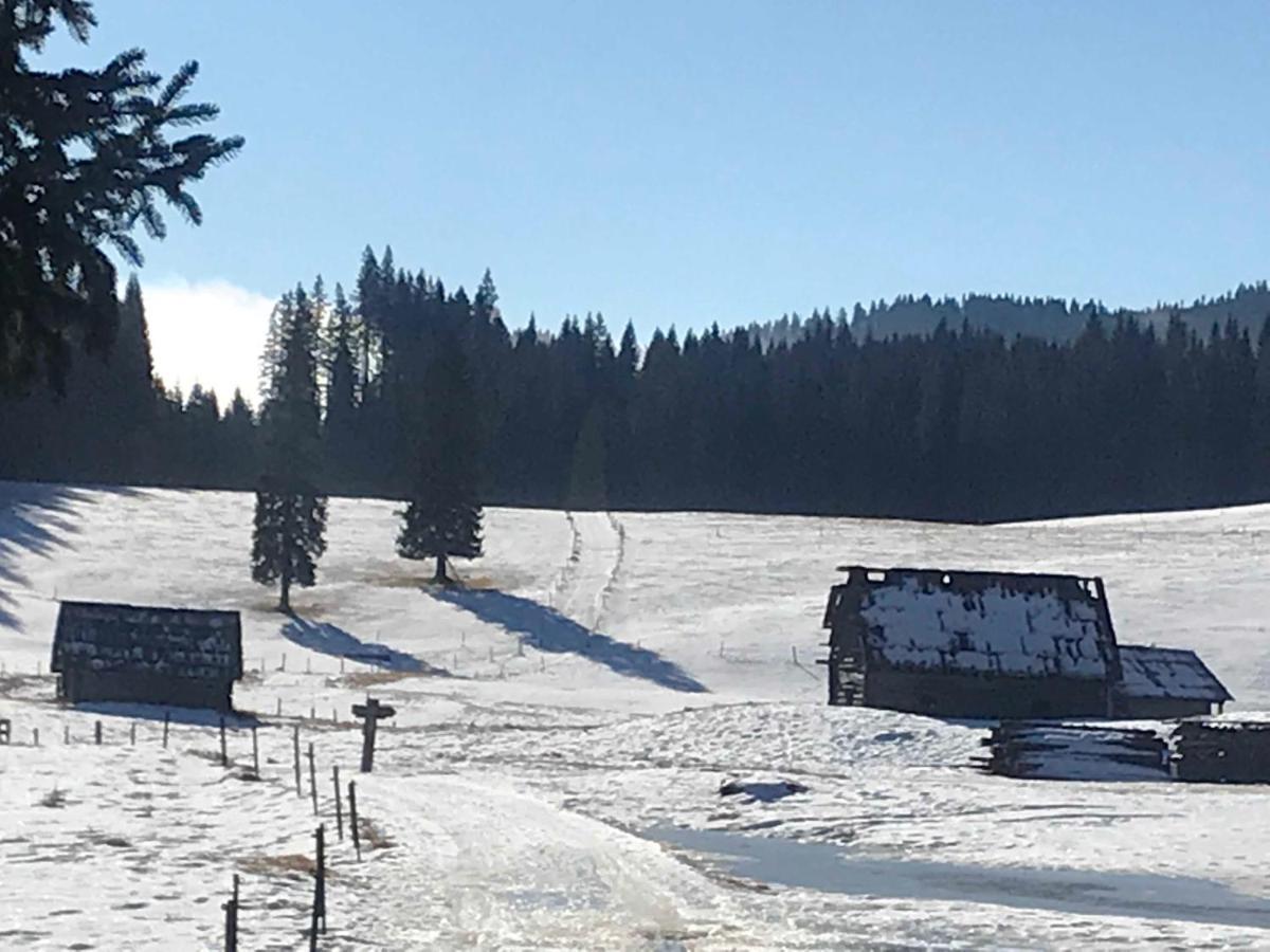 Chalet Stara Jelka Pokljuka Згорнє Горє Екстер'єр фото