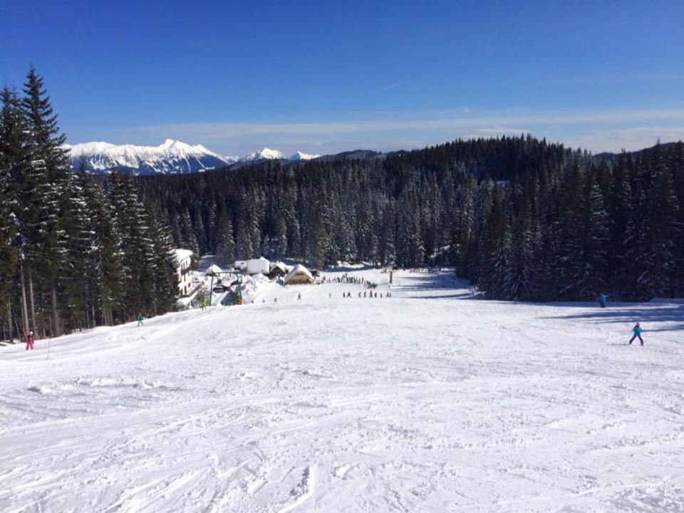 Chalet Stara Jelka Pokljuka Згорнє Горє Екстер'єр фото