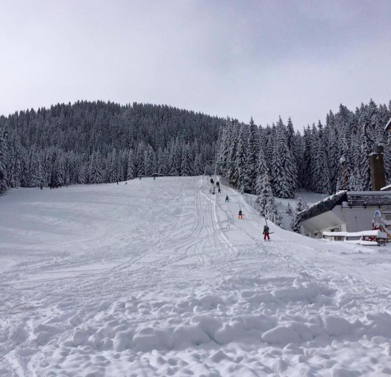 Chalet Stara Jelka Pokljuka Згорнє Горє Екстер'єр фото